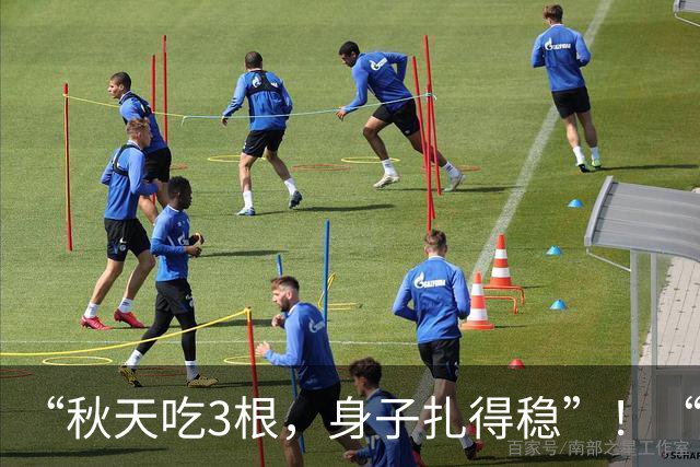 “秋天吃3根，身子扎得稳”！“3根”指什么？正当季、遇到别错过