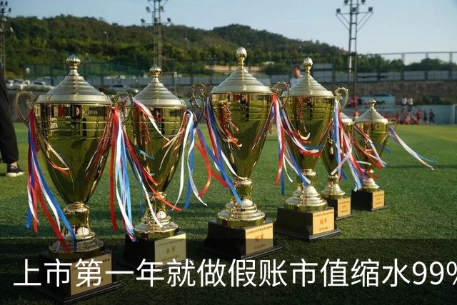 上市第一年就做假账市值缩水99%，锁定科创板市值退市第一股