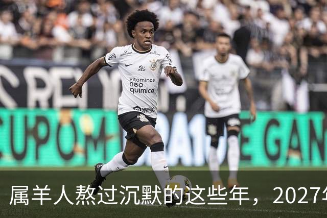 属羊人熬过沉默的这些年，2027年起好运正式兑现