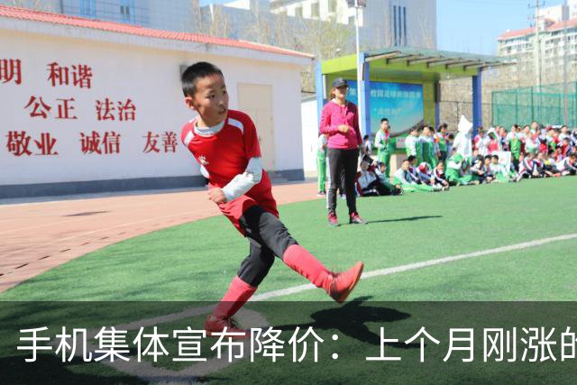 手机集体宣布降价：上个月刚涨的1000元，降了吗