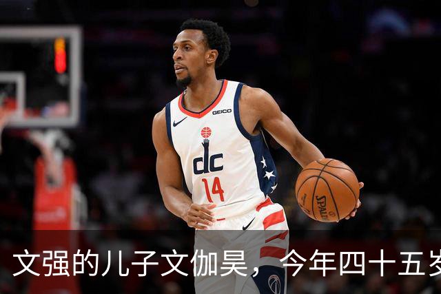 文强的儿子文伽昊，今年四十五岁了，定居在重庆，早已撕掉了