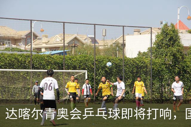 达喀尔青奥会乒乓球即将打响，国乒双将出征，外协会新星群雄环伺