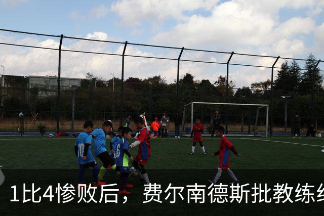 1比4惨败后，费尔南德斯批教练组，卡里克质疑球员