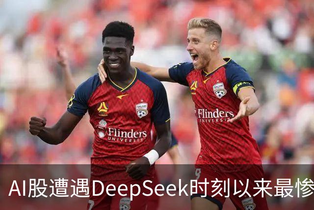 AI股遭遇DeepSeek时刻以来最惨一跌！高盛动量组合抹去全年涨幅，半导体指数逼近年线
